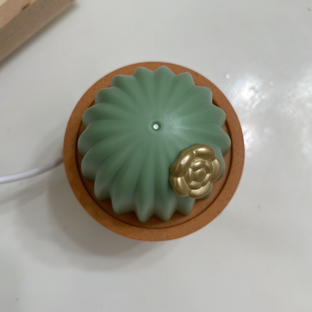 Mini cactus diffuser with usb cord. - Picture 3 of 4